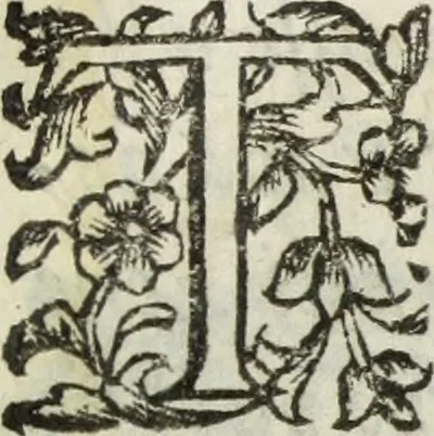 An illustration from Dell'istoria di Ferrara, 1700, leaf 418