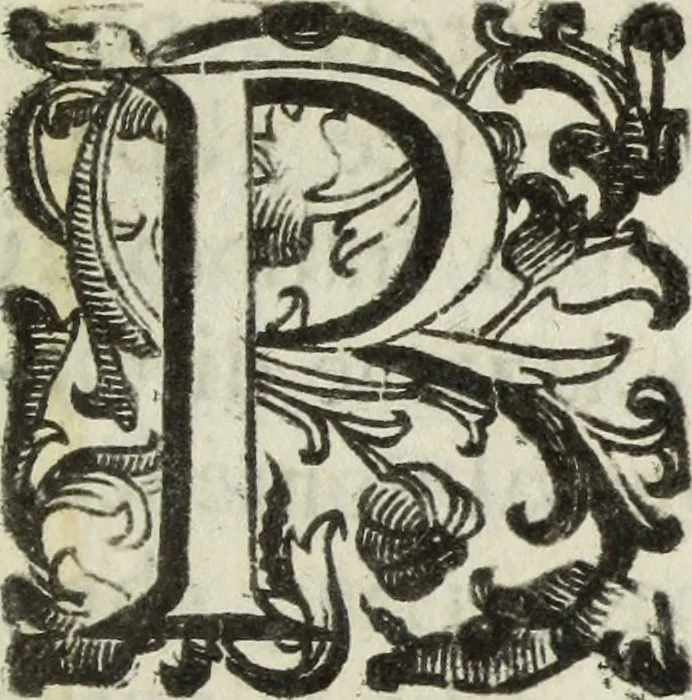 An illustration from Dell'istoria di Ferrara, 1700, leaf 420