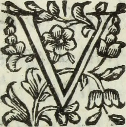 An illustration from Dell'istoria di Ferrara, 1700, leaf 476