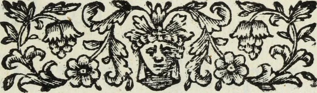 An illustration from Dell'istoria di Ferrara, 1700, leaf 8