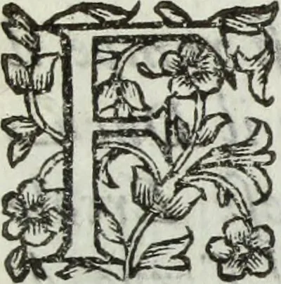 An illustration from Dell'istoria di Ferrara, 1700, leaf 88