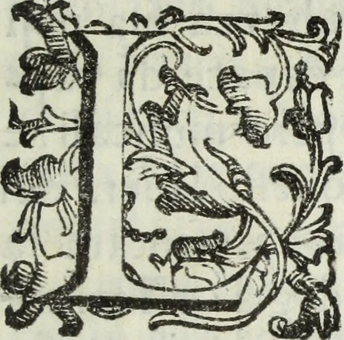 An illustration from Dell'istoria di Ferrara, 1700, leaf 90