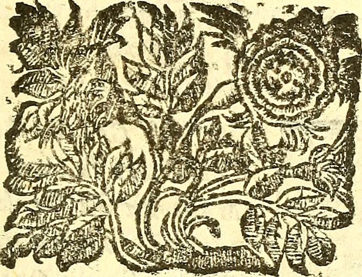 An illustration from Dell 'istoria di Mantova, libri cinque : scritta in commentari da Mario Equicola d'Alveto. Nella quale cominciadosi dall'edificatione de esse città breuemente si raccontano tutte le cose più notabili successe di tempo in tempo cosi in pace, come guerra. Riformata secondo l'vso moderno di scriuere istorie, 1610, leaf 128