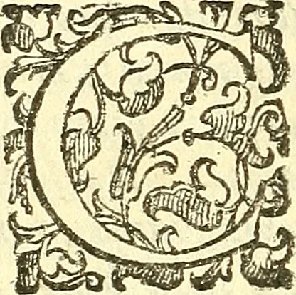 An illustration from Dell 'istoria di Mantova, libri cinque : scritta in commentari da Mario Equicola d'Alveto. Nella quale cominciadosi dall'edificatione de esse città breuemente si raccontano tutte le cose più notabili successe di tempo in tempo cosi in pace, come guerra. Riformata secondo l'vso moderno di scriuere istorie, 1610, leaf 135