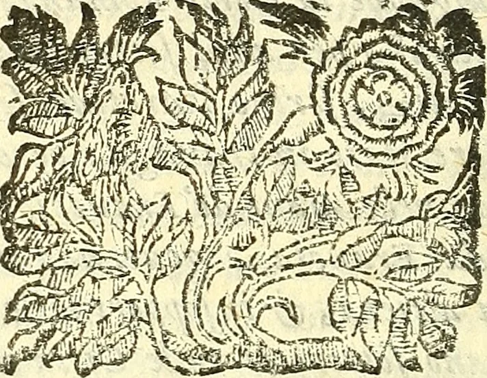 An illustration from Dell 'istoria di Mantova, libri cinque : scritta in commentari da Mario Equicola d'Alveto. Nella quale cominciadosi dall'edificatione de esse città breuemente si raccontano tutte le cose più notabili successe di tempo in tempo cosi in pace, come guerra. Riformata secondo l'vso moderno di scriuere istorie, 1610, leaf 139