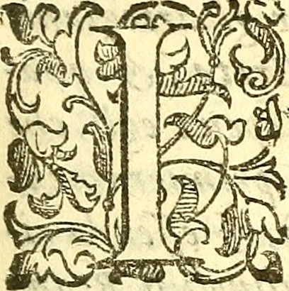 An illustration from Dell 'istoria di Mantova, libri cinque : scritta in commentari da Mario Equicola d'Alveto. Nella quale cominciadosi dall'edificatione de esse città breuemente si raccontano tutte le cose più notabili successe di tempo in tempo cosi in pace, come guerra. Riformata secondo l'vso moderno di scriuere istorie, 1610, leaf 220