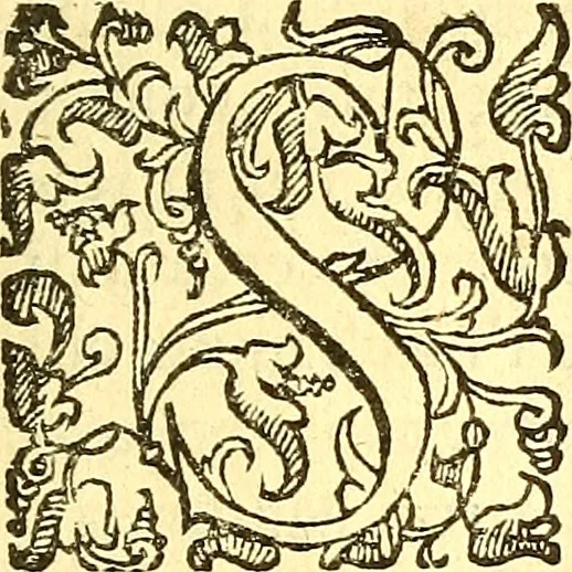 An illustration from Dell 'istoria di Mantova, libri cinque : scritta in commentari da Mario Equicola d'Alveto. Nella quale cominciadosi dall'edificatione de esse città breuemente si raccontano tutte le cose più notabili successe di tempo in tempo cosi in pace, come guerra. Riformata secondo l'vso moderno di scriuere istorie, 1610, leaf 230