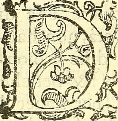An illustration from Dell 'istoria di Mantova, libri cinque : scritta in commentari da Mario Equicola d'Alveto. Nella quale cominciadosi dall'edificatione de esse città breuemente si raccontano tutte le cose più notabili successe di tempo in tempo cosi in pace, come guerra. Riformata secondo l'vso moderno di scriuere istorie, 1610, leaf 233