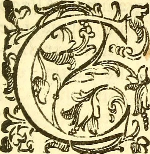 An illustration from Dell 'istoria di Mantova, libri cinque : scritta in commentari da Mario Equicola d'Alveto. Nella quale cominciadosi dall'edificatione de esse città breuemente si raccontano tutte le cose più notabili successe di tempo in tempo cosi in pace, come guerra. Riformata secondo l'vso moderno di scriuere istorie, 1610, leaf 316