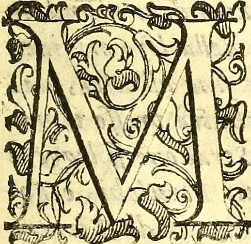 An illustration from Dell 'istoria di Mantova, libri cinque : scritta in commentari da Mario Equicola d'Alveto. Nella quale cominciadosi dall'edificatione de esse città breuemente si raccontano tutte le cose più notabili successe di tempo in tempo cosi in pace, come guerra. Riformata secondo l'vso moderno di scriuere istorie, 1610, leaf 32