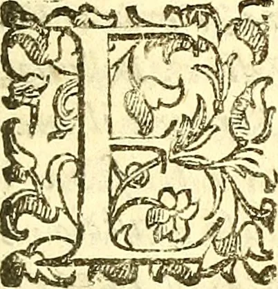 An illustration from Dell 'istoria di Mantova, libri cinque : scritta in commentari da Mario Equicola d'Alveto. Nella quale cominciadosi dall'edificatione de esse città breuemente si raccontano tutte le cose più notabili successe di tempo in tempo cosi in pace, come guerra. Riformata secondo l'vso moderno di scriuere istorie, 1610, leaf 322