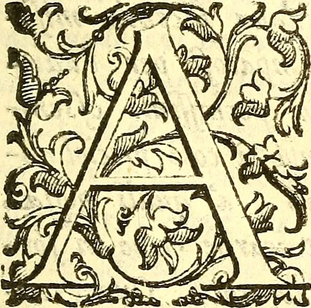 An illustration from Dell 'istoria di Mantova, libri cinque : scritta in commentari da Mario Equicola d'Alveto. Nella quale cominciadosi dall'edificatione de esse città breuemente si raccontano tutte le cose più notabili successe di tempo in tempo cosi in pace, come guerra. Riformata secondo l'vso moderno di scriuere istorie, 1610, leaf 8