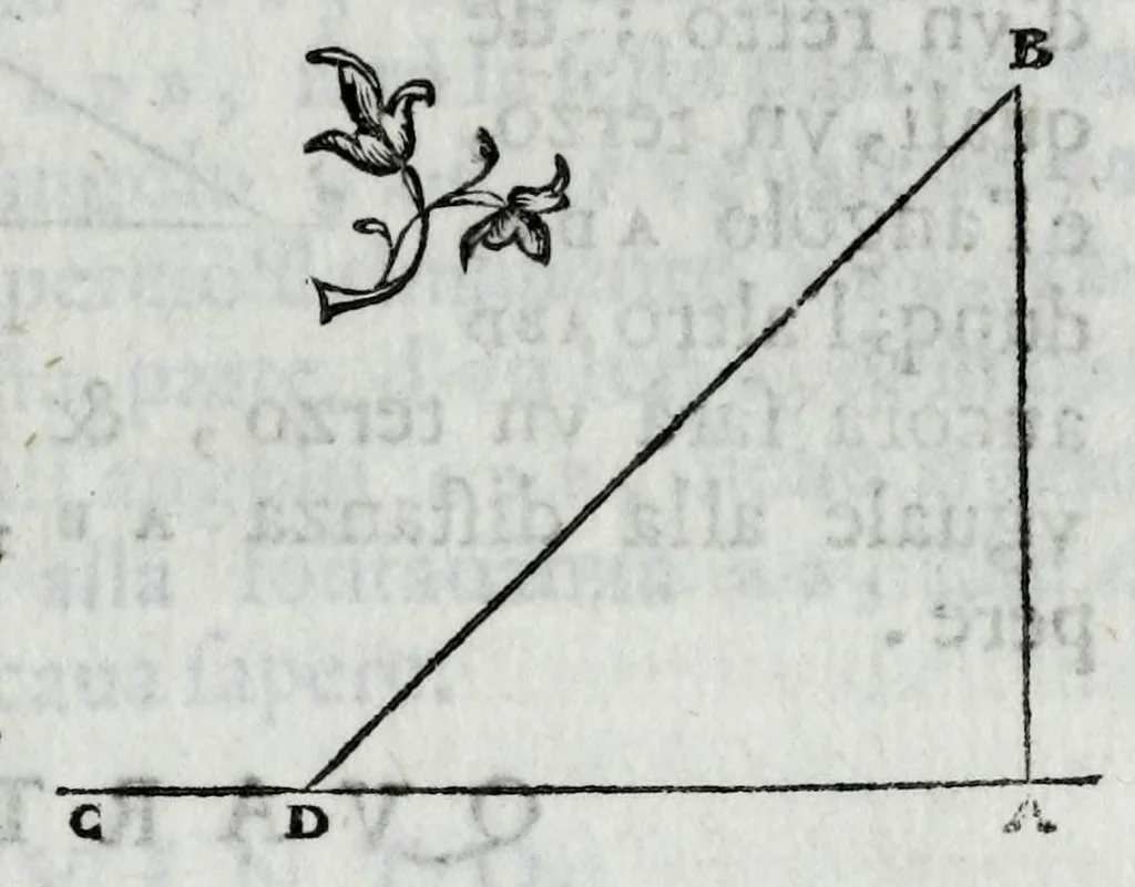 An illustration from Dello squadro : trattato, 1625, leaf 135