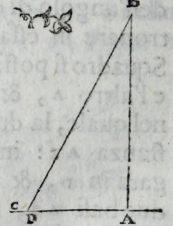 An illustration from Dello squadro : trattato, 1625, leaf 138