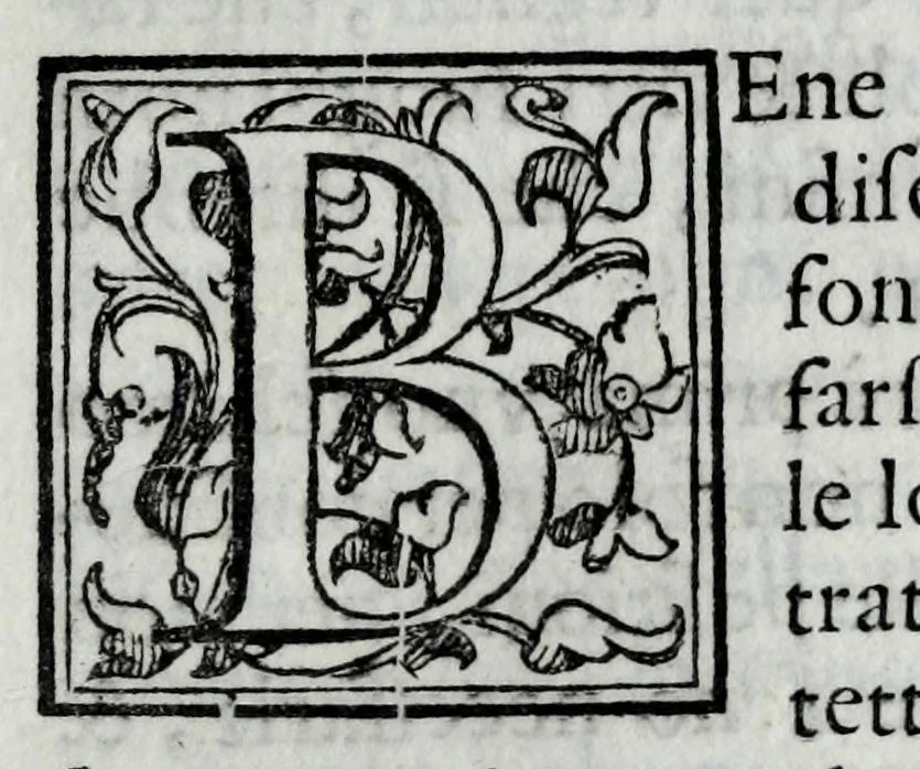 An illustration from Dello squadro : trattato, 1625, leaf 151
