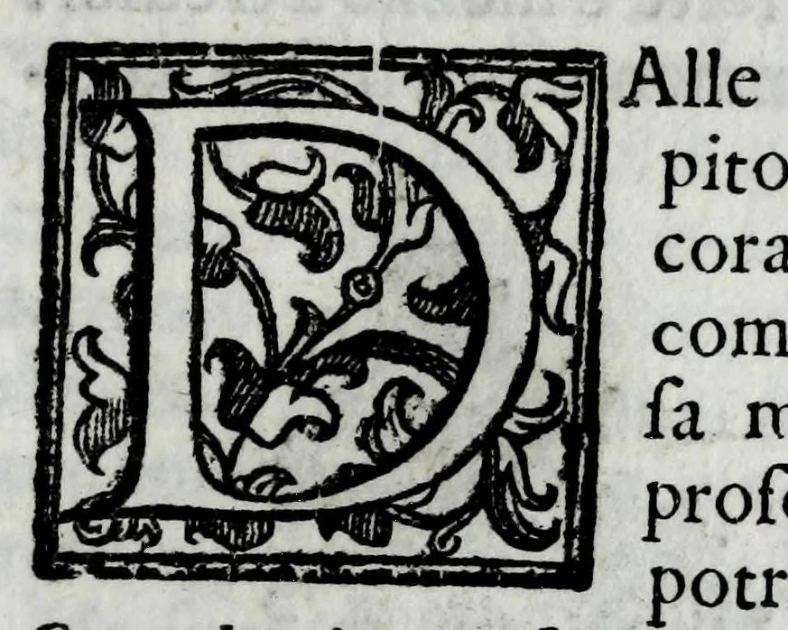 An illustration from Dello squadro : trattato, 1625, leaf 193