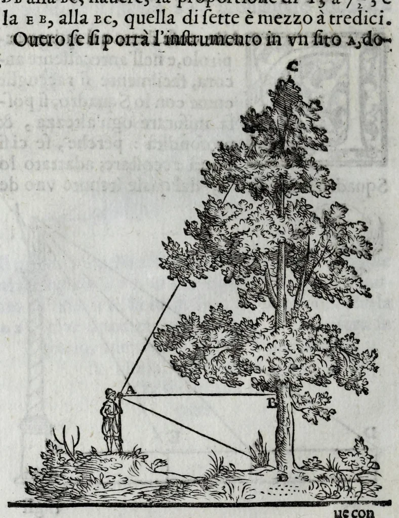 An illustration from Dello squadro : trattato, 1625, leaf 194