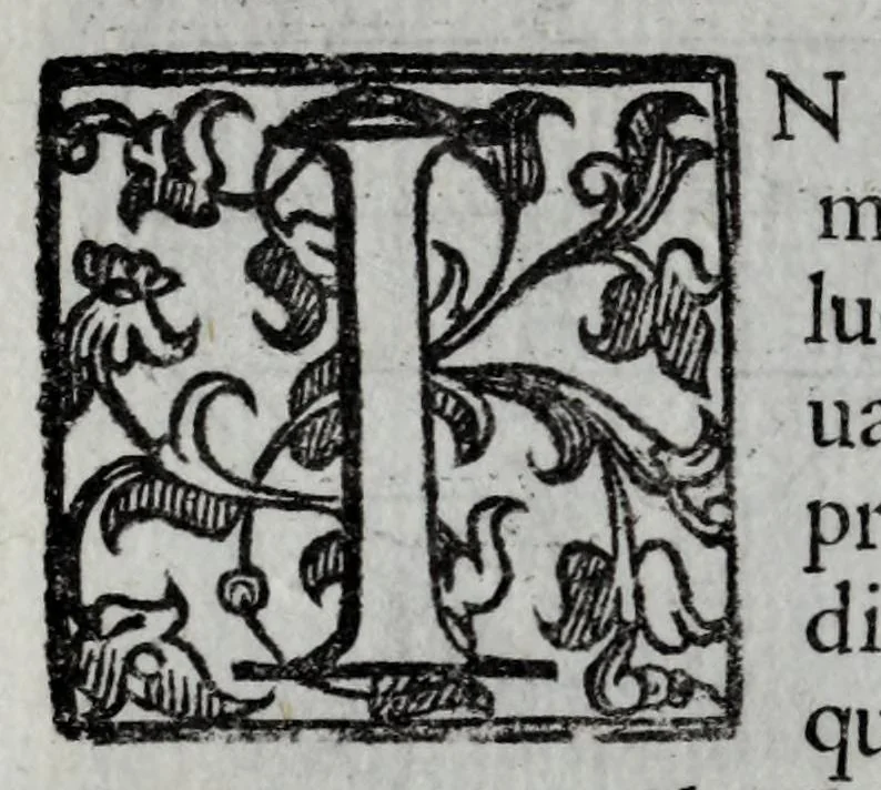 An illustration from Dello squadro : trattato, 1625, leaf 62