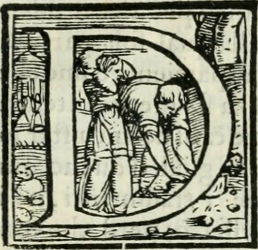 An illustration from Del modo di fortificar le città : trattato, 1554, leaf 16