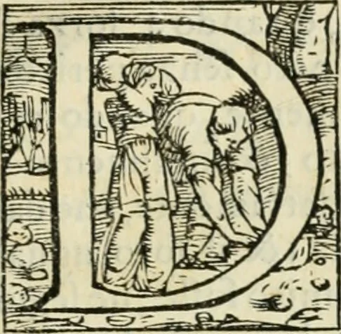 An illustration from Del modo di fortificar le città : trattato, 1554, leaf 20
