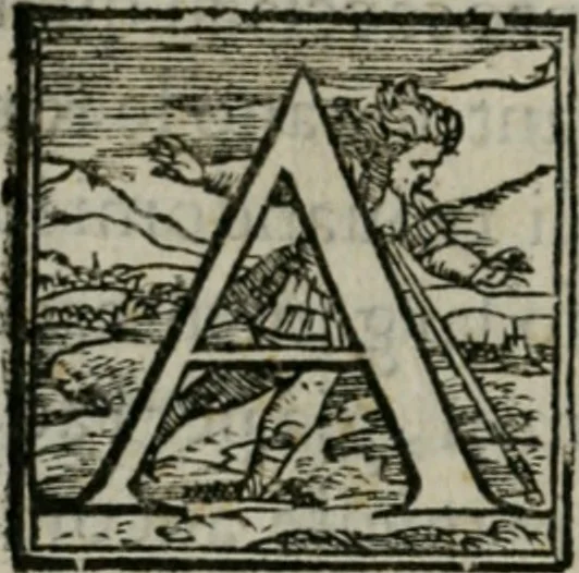 An illustration from Del modo di misvrare : le distantie, le superficie, i corpi, le piante, le prouincie, le prospettiue, & tutte le altre cose terrene, che possono occorrere a gli huomini, secondo le uere regole d'Euclide, & de gli altri piu lodati scrittori, 1564, leaf 11