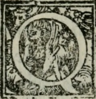 An illustration from Del modo di misvrare : le distantie, le superficie, i corpi, le piante, le prouincie, le prospettiue, & tutte le altre cose terrene, che possono occorrere a gli huomini, secondo le uere regole d'Euclide, & de gli altri piu lodati scrittori, 1564, leaf 111