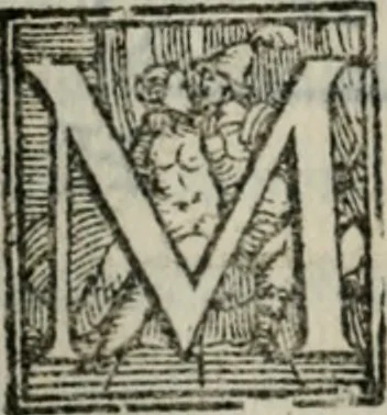 An illustration from Del modo di misvrare : le distantie, le superficie, i corpi, le piante, le prouincie, le prospettiue, & tutte le altre cose terrene, che possono occorrere a gli huomini, secondo le uere regole d'Euclide, & de gli altri piu lodati scrittori, 1564, leaf 133