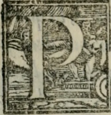An illustration from Del modo di misvrare : le distantie, le superficie, i corpi, le piante, le prouincie, le prospettiue, & tutte le altre cose terrene, che possono occorrere a gli huomini, secondo le uere regole d'Euclide, & de gli altri piu lodati scrittori, 1564, leaf 139