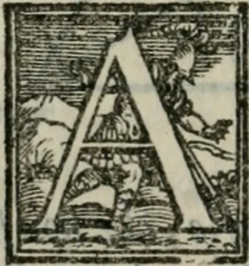 An illustration from Del modo di misvrare : le distantie, le superficie, i corpi, le piante, le prouincie, le prospettiue, & tutte le altre cose terrene, che possono occorrere a gli huomini, secondo le uere regole d'Euclide, & de gli altri piu lodati scrittori, 1564, leaf 139
