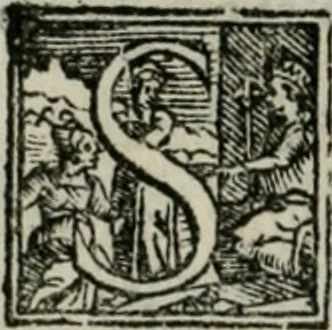 An illustration from Del modo di misvrare : le distantie, le superficie, i corpi, le piante, le prouincie, le prospettiue, & tutte le altre cose terrene, che possono occorrere a gli huomini, secondo le uere regole d'Euclide, & de gli altri piu lodati scrittori, 1564, leaf 141
