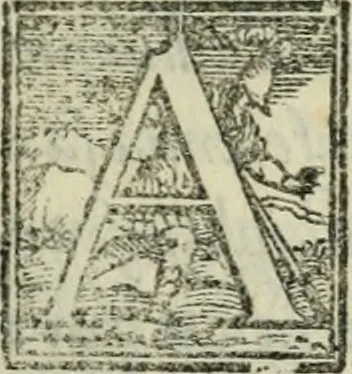 An illustration from Del modo di misvrare : le distantie, le superficie, i corpi, le piante, le prouincie, le prospettiue, & tutte le altre cose terrene, che possono occorrere a gli huomini, secondo le uere regole d'Euclide, & de gli altri piu lodati scrittori, 1564, leaf 144