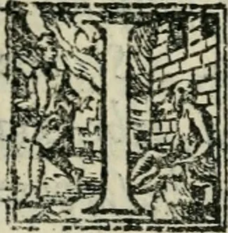 An illustration from Del modo di misvrare : le distantie, le superficie, i corpi, le piante, le prouincie, le prospettiue, & tutte le altre cose terrene, che possono occorrere a gli huomini, secondo le uere regole d'Euclide, & de gli altri piu lodati scrittori, 1564, leaf 146