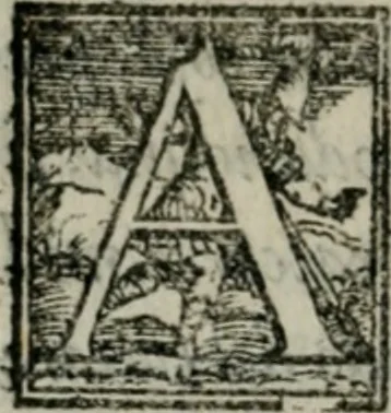 An illustration from Del modo di misvrare : le distantie, le superficie, i corpi, le piante, le prouincie, le prospettiue, & tutte le altre cose terrene, che possono occorrere a gli huomini, secondo le uere regole d'Euclide, & de gli altri piu lodati scrittori, 1564, leaf 15