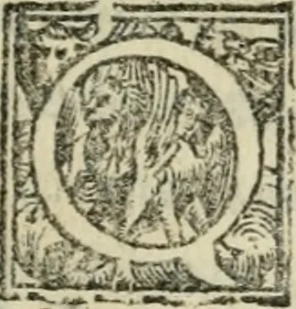 An illustration from Del modo di misvrare : le distantie, le superficie, i corpi, le piante, le prouincie, le prospettiue, & tutte le altre cose terrene, che possono occorrere a gli huomini, secondo le uere regole d'Euclide, & de gli altri piu lodati scrittori, 1564, leaf 154