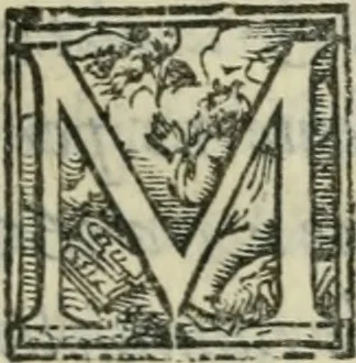 An illustration from Del modo di misvrare : le distantie, le superficie, i corpi, le piante, le prouincie, le prospettiue, & tutte le altre cose terrene, che possono occorrere a gli huomini, secondo le uere regole d'Euclide, & de gli altri piu lodati scrittori, 1564, leaf 156
