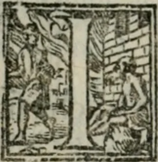 An illustration from Del modo di misvrare : le distantie, le superficie, i corpi, le piante, le prouincie, le prospettiue, & tutte le altre cose terrene, che possono occorrere a gli huomini, secondo le uere regole d'Euclide, & de gli altri piu lodati scrittori, 1564, leaf 157