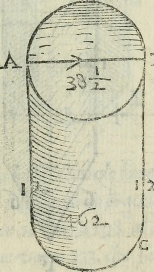 An illustration from Del modo di misvrare : le distantie, le superficie, i corpi, le piante, le prouincie, le prospettiue, & tutte le altre cose terrene, che possono occorrere a gli huomini, secondo le uere regole d'Euclide, & de gli altri piu lodati scrittori, 1564, leaf 158