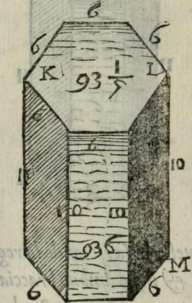 An illustration from Del modo di misvrare : le distantie, le superficie, i corpi, le piante, le prouincie, le prospettiue, & tutte le altre cose terrene, che possono occorrere a gli huomini, secondo le uere regole d'Euclide, & de gli altri piu lodati scrittori, 1564, leaf 161
