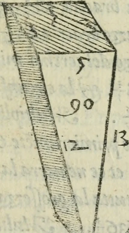 An illustration from Del modo di misvrare : le distantie, le superficie, i corpi, le piante, le prouincie, le prospettiue, & tutte le altre cose terrene, che possono occorrere a gli huomini, secondo le uere regole d'Euclide, & de gli altri piu lodati scrittori, 1564, leaf 162