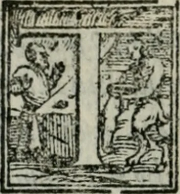 An illustration from Del modo di misvrare : le distantie, le superficie, i corpi, le piante, le prouincie, le prospettiue, & tutte le altre cose terrene, che possono occorrere a gli huomini, secondo le uere regole d'Euclide, & de gli altri piu lodati scrittori, 1564, leaf 165