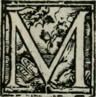 An illustration from Del modo di misvrare : le distantie, le superficie, i corpi, le piante, le prouincie, le prospettiue, & tutte le altre cose terrene, che possono occorrere a gli huomini, secondo le uere regole d'Euclide, & de gli altri piu lodati scrittori, 1564, leaf 171