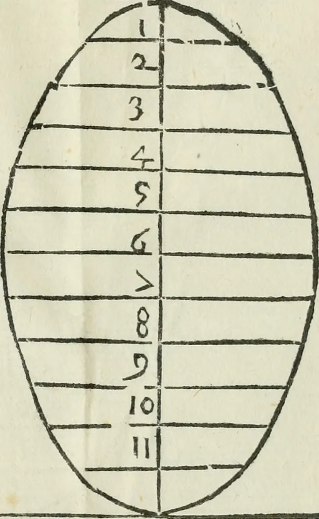 An illustration from Del modo di misvrare : le distantie, le superficie, i corpi, le piante, le prouincie, le prospettiue, & tutte le altre cose terrene, che possono occorrere a gli huomini, secondo le uere regole d'Euclide, & de gli altri piu lodati scrittori, 1564, leaf 174