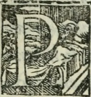 An illustration from Del modo di misvrare : le distantie, le superficie, i corpi, le piante, le prouincie, le prospettiue, & tutte le altre cose terrene, che possono occorrere a gli huomini, secondo le uere regole d'Euclide, & de gli altri piu lodati scrittori, 1564, leaf 180