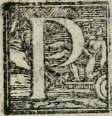 An illustration from Del modo di misvrare : le distantie, le superficie, i corpi, le piante, le prouincie, le prospettiue, & tutte le altre cose terrene, che possono occorrere a gli huomini, secondo le uere regole d'Euclide, & de gli altri piu lodati scrittori, 1564, leaf 185