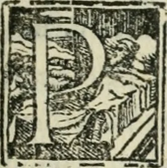 An illustration from Del modo di misvrare : le distantie, le superficie, i corpi, le piante, le prouincie, le prospettiue, & tutte le altre cose terrene, che possono occorrere a gli huomini, secondo le uere regole d'Euclide, & de gli altri piu lodati scrittori, 1564, leaf 196