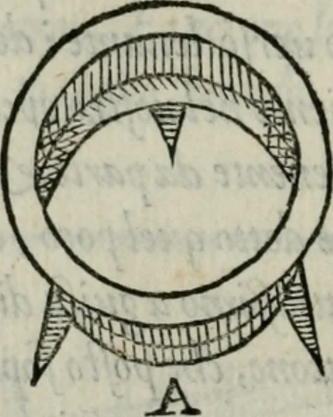 An illustration from Del modo di misvrare : le distantie, le superficie, i corpi, le piante, le prouincie, le prospettiue, & tutte le altre cose terrene, che possono occorrere a gli huomini, secondo le uere regole d'Euclide, & de gli altri piu lodati scrittori, 1564, leaf 205