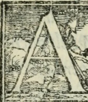 An illustration from Del modo di misvrare : le distantie, le superficie, i corpi, le piante, le prouincie, le prospettiue, & tutte le altre cose terrene, che possono occorrere a gli huomini, secondo le uere regole d'Euclide, & de gli altri piu lodati scrittori, 1564, leaf 220