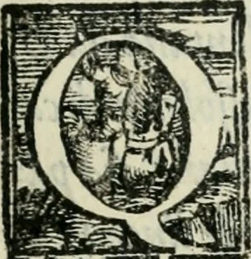 An illustration from Del modo di misvrare : le distantie, le superficie, i corpi, le piante, le prouincie, le prospettiue, & tutte le altre cose terrene, che possono occorrere a gli huomini, secondo le uere regole d'Euclide, & de gli altri piu lodati scrittori, 1564, leaf 226