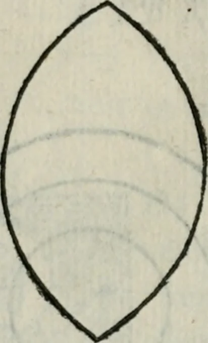 An illustration from Del modo di misvrare : le distantie, le superficie, i corpi, le piante, le prouincie, le prospettiue, & tutte le altre cose terrene, che possono occorrere a gli huomini, secondo le uere regole d'Euclide, & de gli altri piu lodati scrittori, 1564, leaf 233