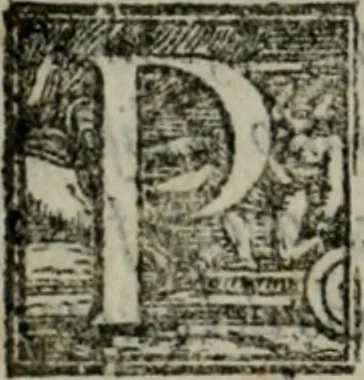 An illustration from Del modo di misvrare : le distantie, le superficie, i corpi, le piante, le prouincie, le prospettiue, & tutte le altre cose terrene, che possono occorrere a gli huomini, secondo le uere regole d'Euclide, & de gli altri piu lodati scrittori, 1564, leaf 25